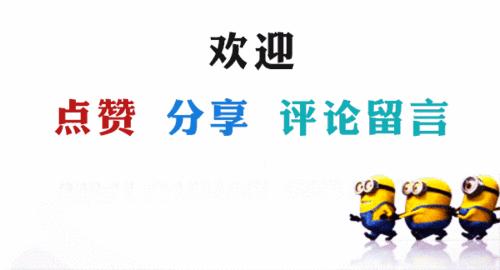 怎么挑选好的狗粮快来学会这几点,狗粮到底怎么选比较好