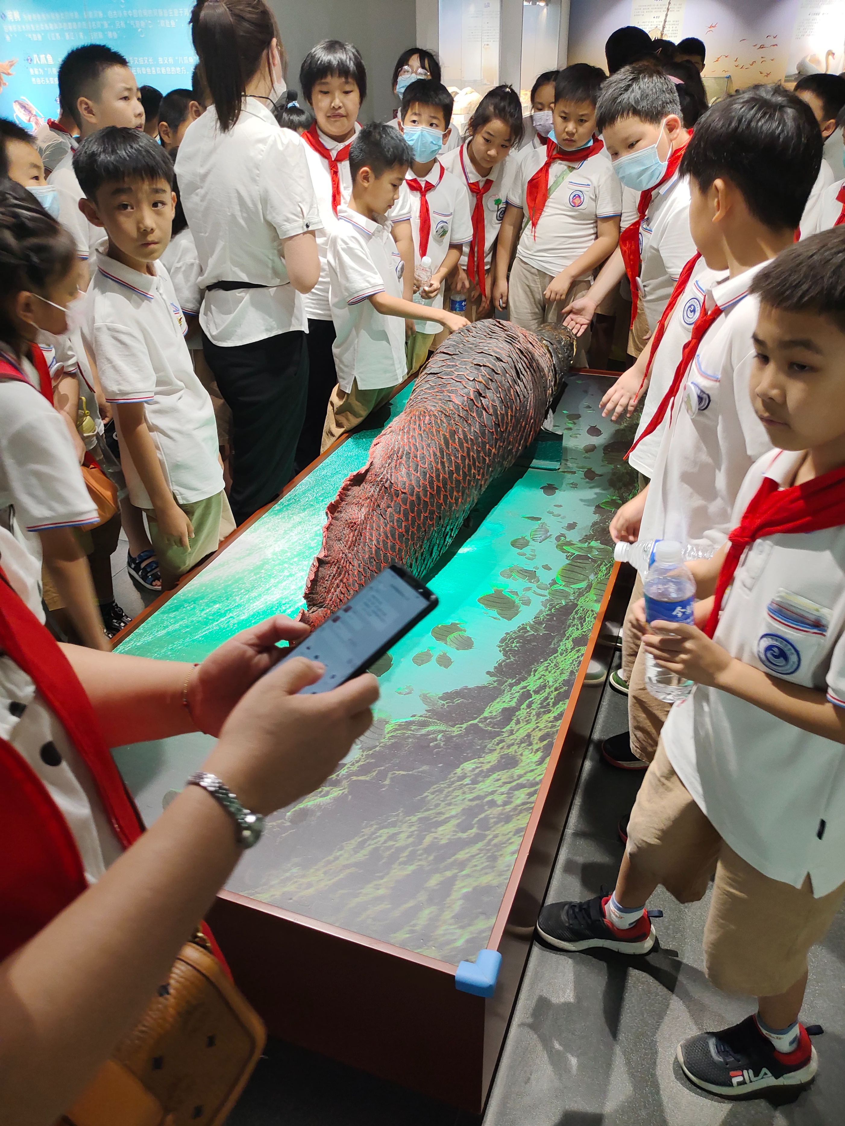 郑州生命自然科学馆,生命科学馆之旅