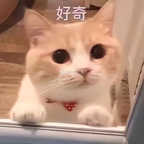 家长要小心儿童鼻腔异物,家长注意幼儿口袋里物品