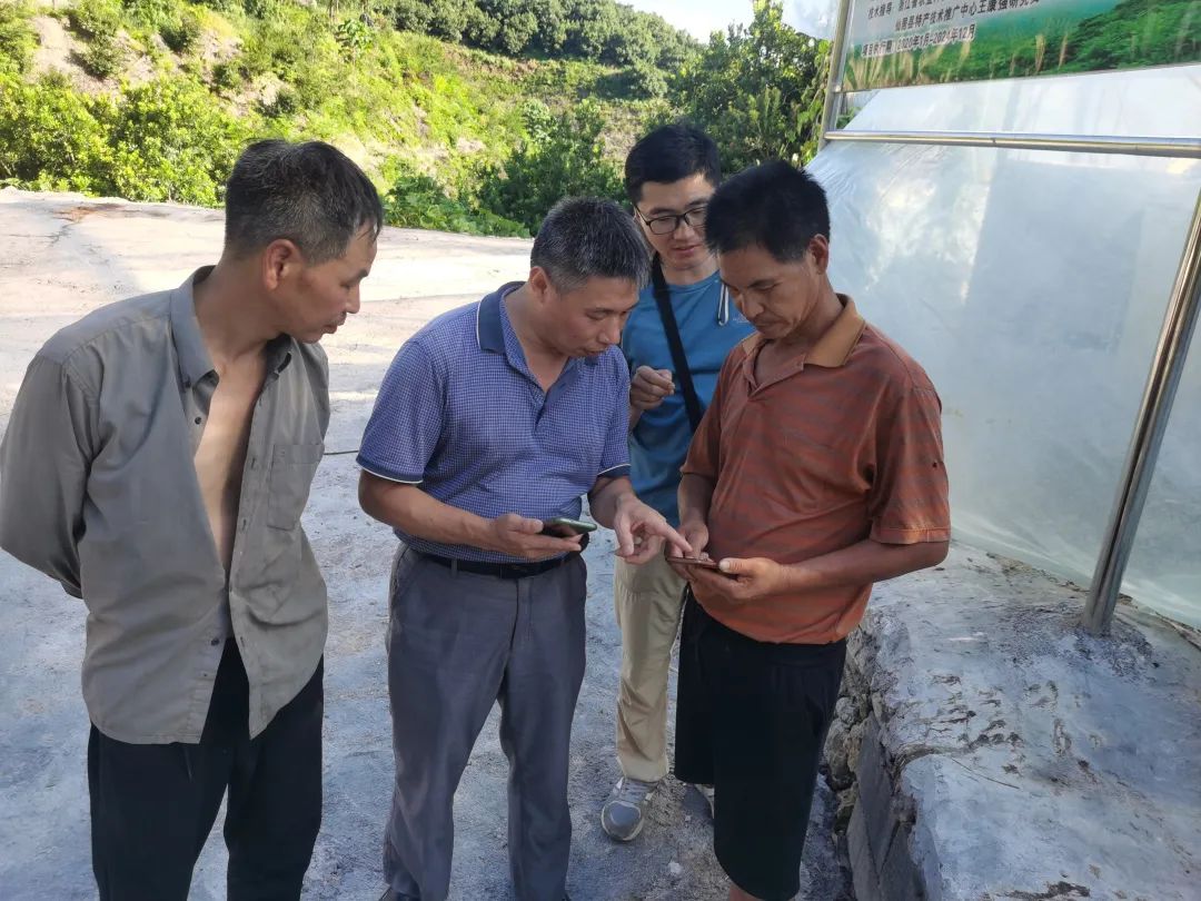 杨梅生活在什么气候中,东魁杨梅生长气候