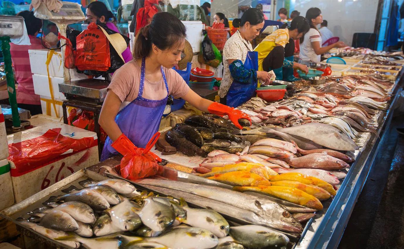 10种海鱼便宜营养价值高,30种最常吃的海鱼图片大全