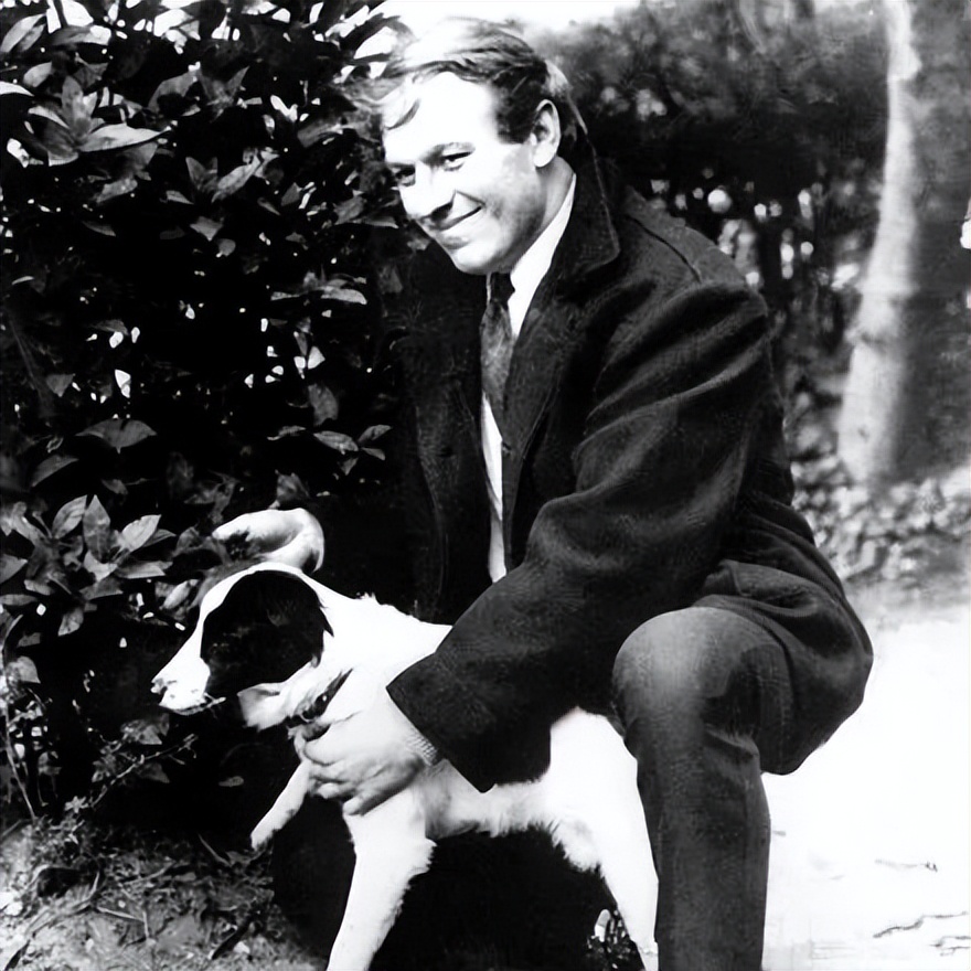 拯救狗狗当中的英雄,世界杯拯救小狗