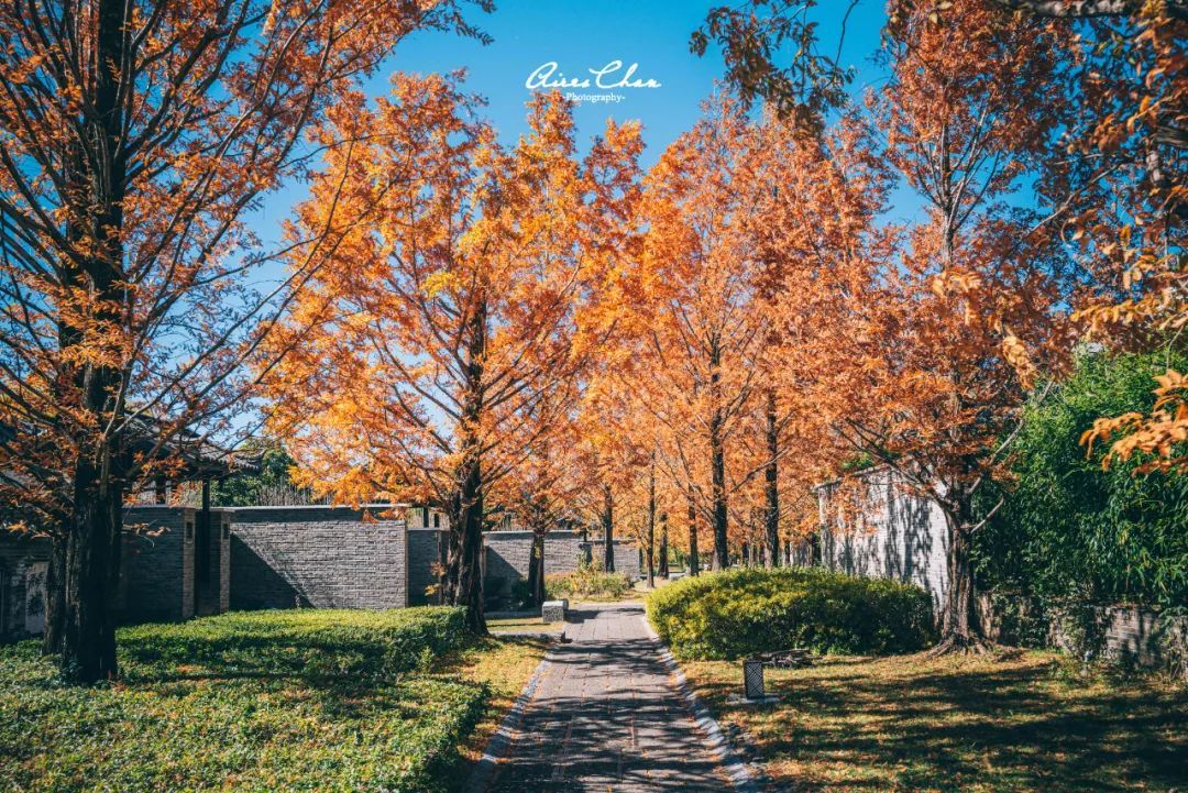 丽江悦榕庄酒店用餐,云南丽江悦榕庄酒店价格