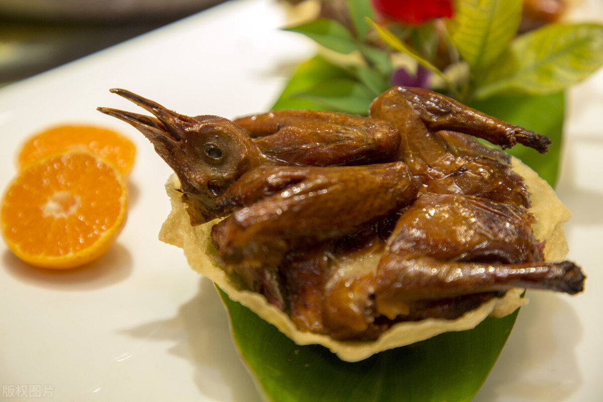 她做保姆这些年豪门生活之序,她做保姆这些年豪门生活246