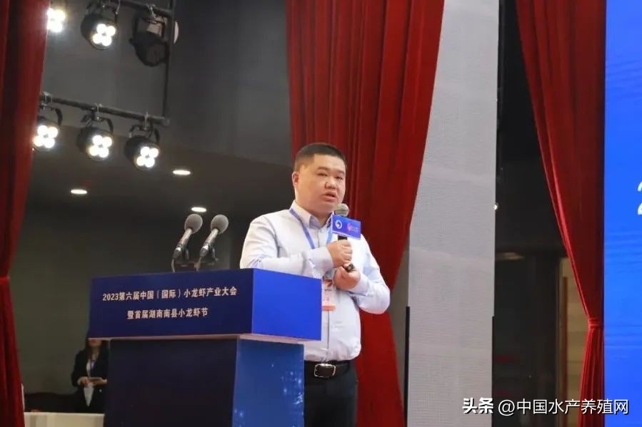 2023年南县小龙虾价格行情,南县小龙虾价格报价