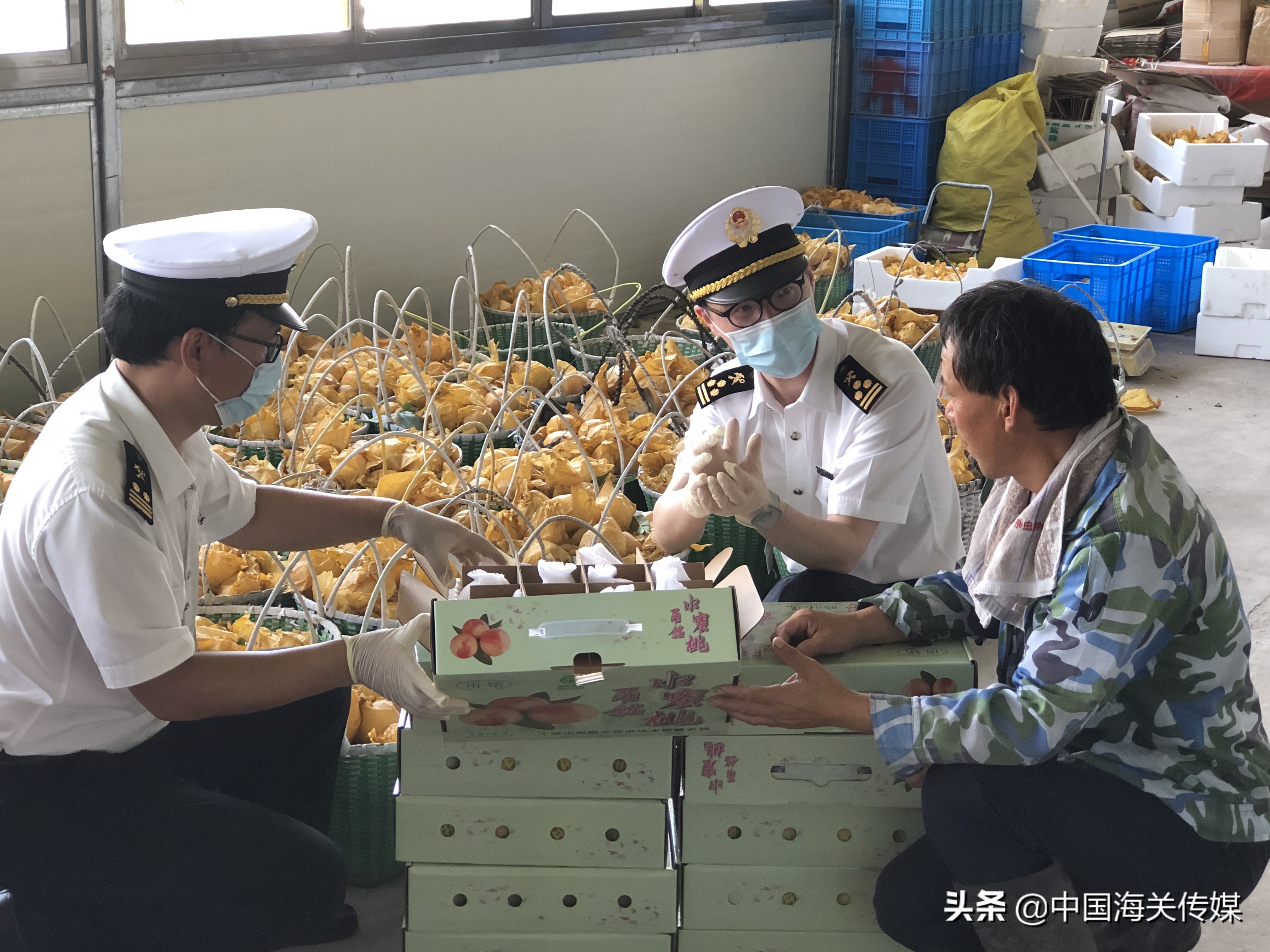 中国进口俄罗斯奶制品关税,2024年乳制品关税