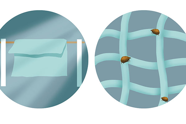 什么原因导致阴虱病,为什么会得阴虱怎么得的