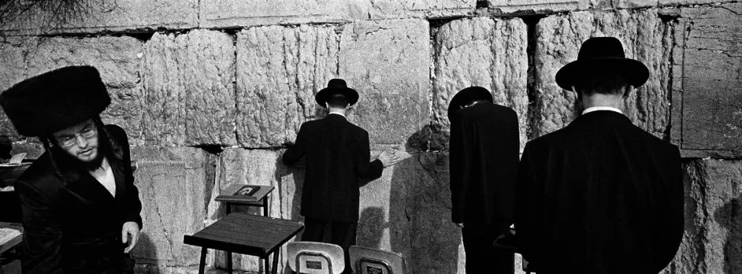 高磊绽放青春,高磊临朐