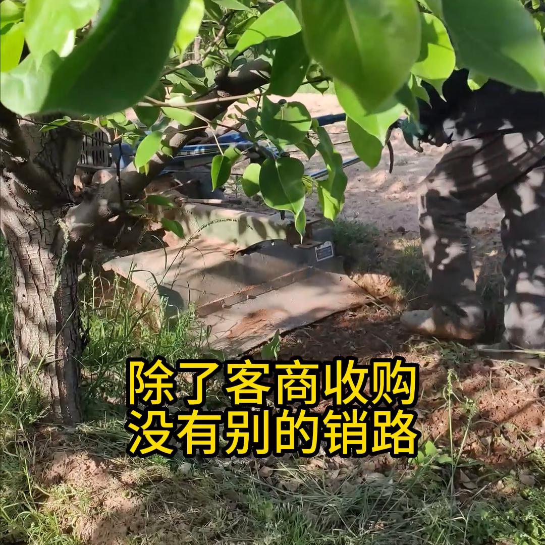 大学生返乡创业例子简短一点,大学生返乡创业与乡村振兴