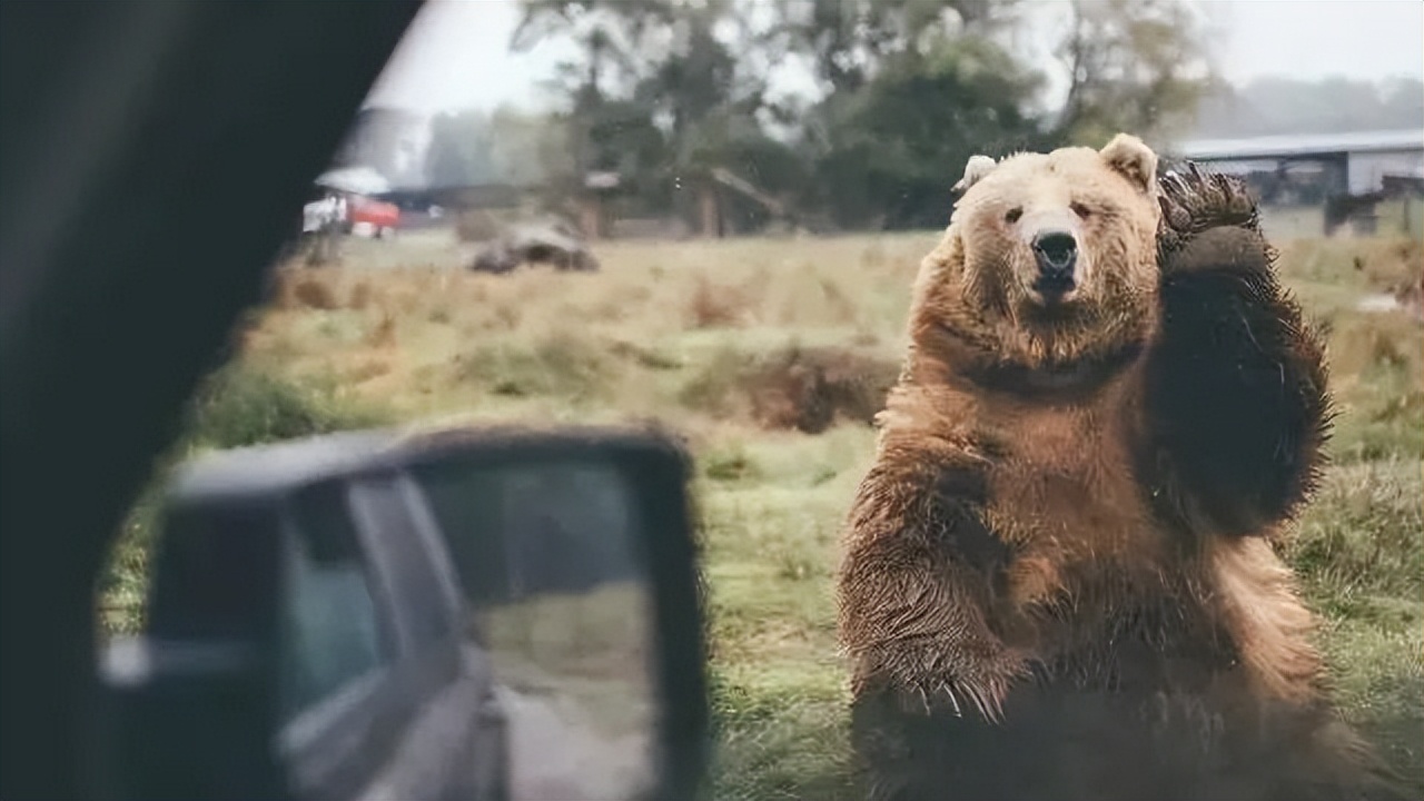 在帐篷露营是什么体验,野外车顶帐篷露营视频