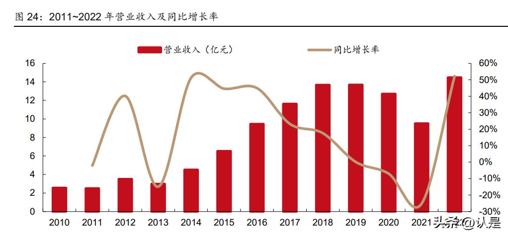 云南白药内部控制研究5000字论文,云南白药技术研究