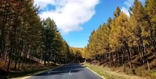 丧偶离婚后的感情分析,离婚再婚的恶果是什么