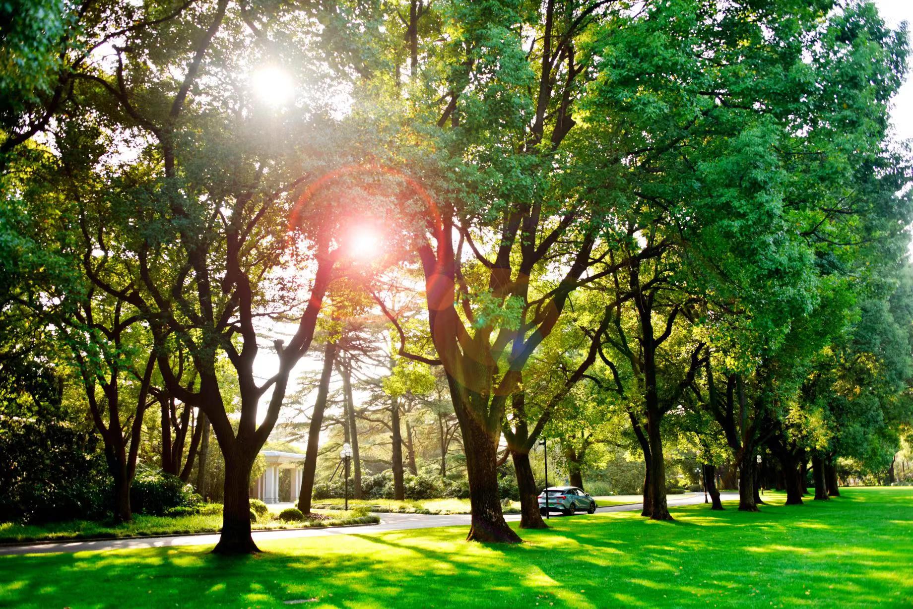 上海|西郊宾馆逃离人从众，五一专属度假酒店tips！