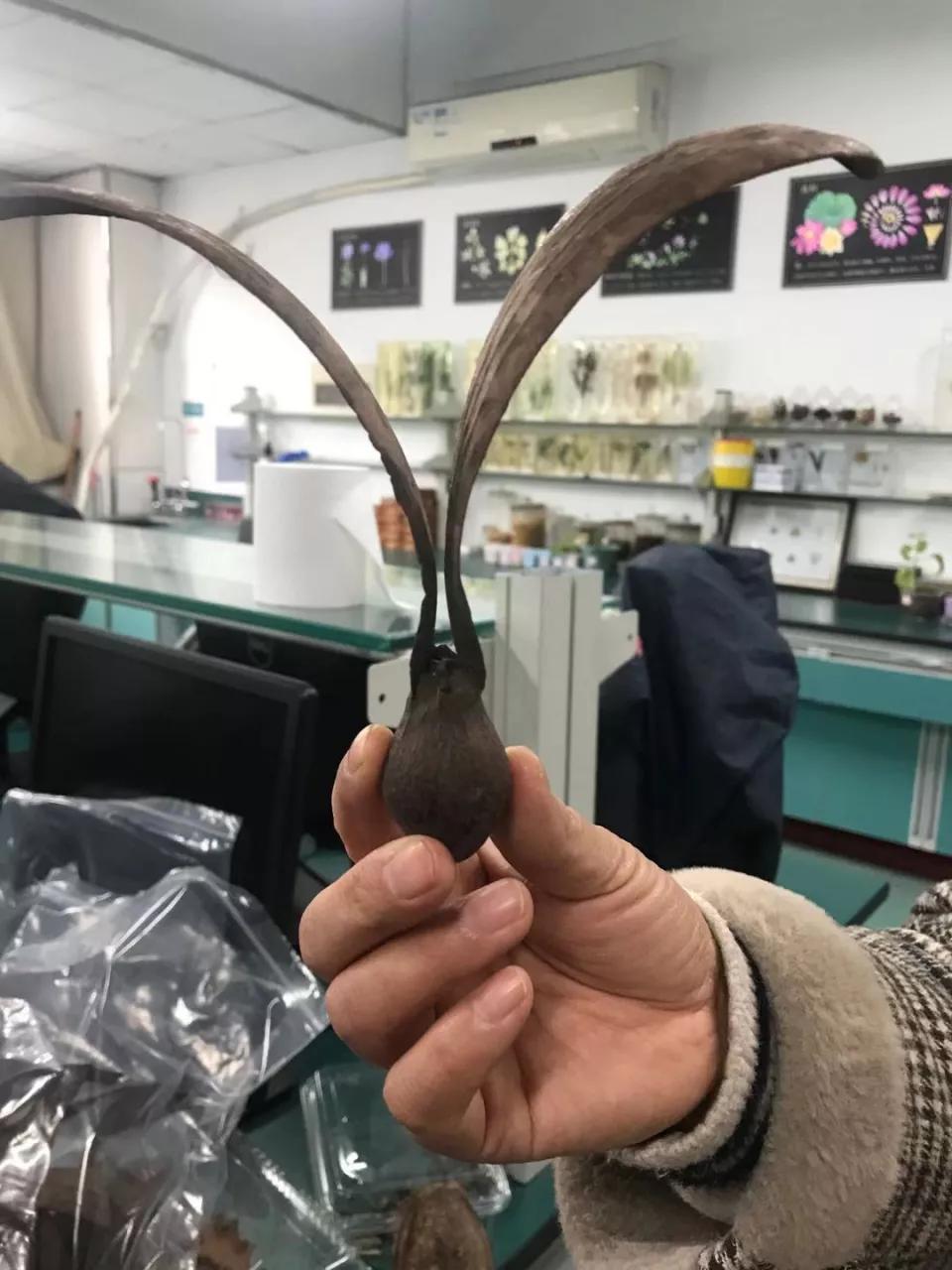 科技体验研学,科技研学课