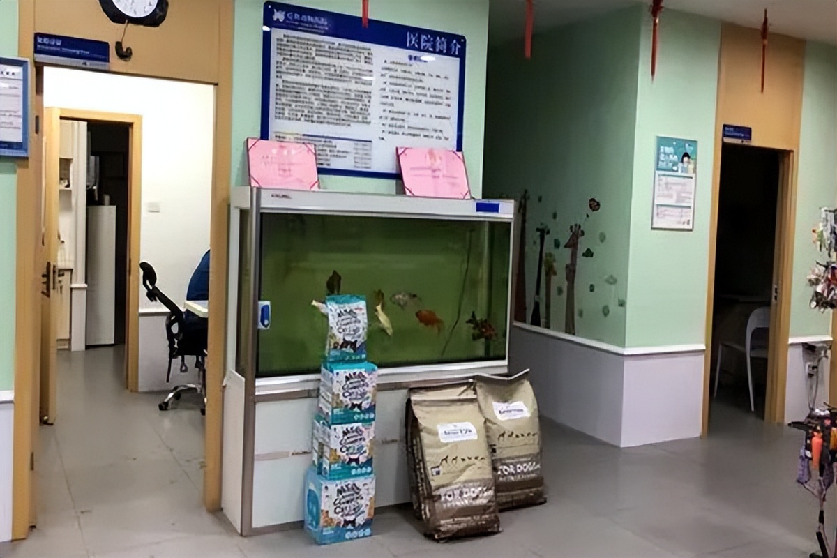 宠物医院的高端技术,宠物医院改进方案