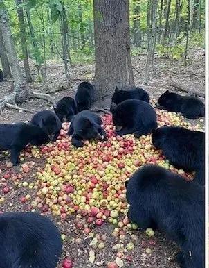 100个大自然奇观图片,世界50大自然奇观排名