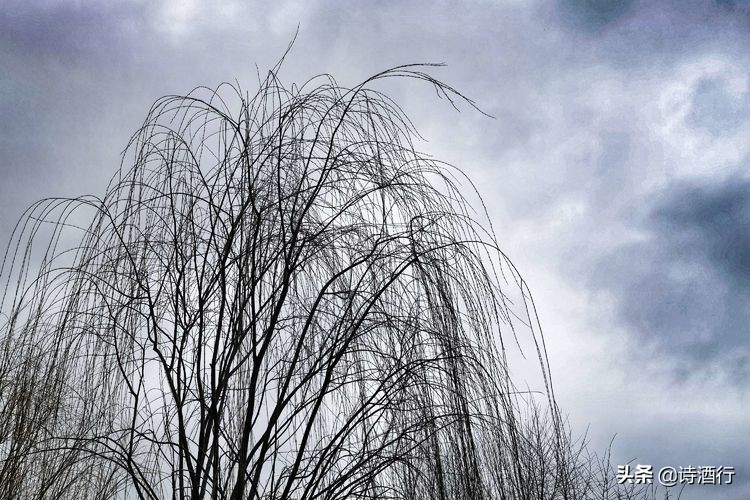 “昔人已乘黄鹤去”，继忠已经离开我们整整一年了