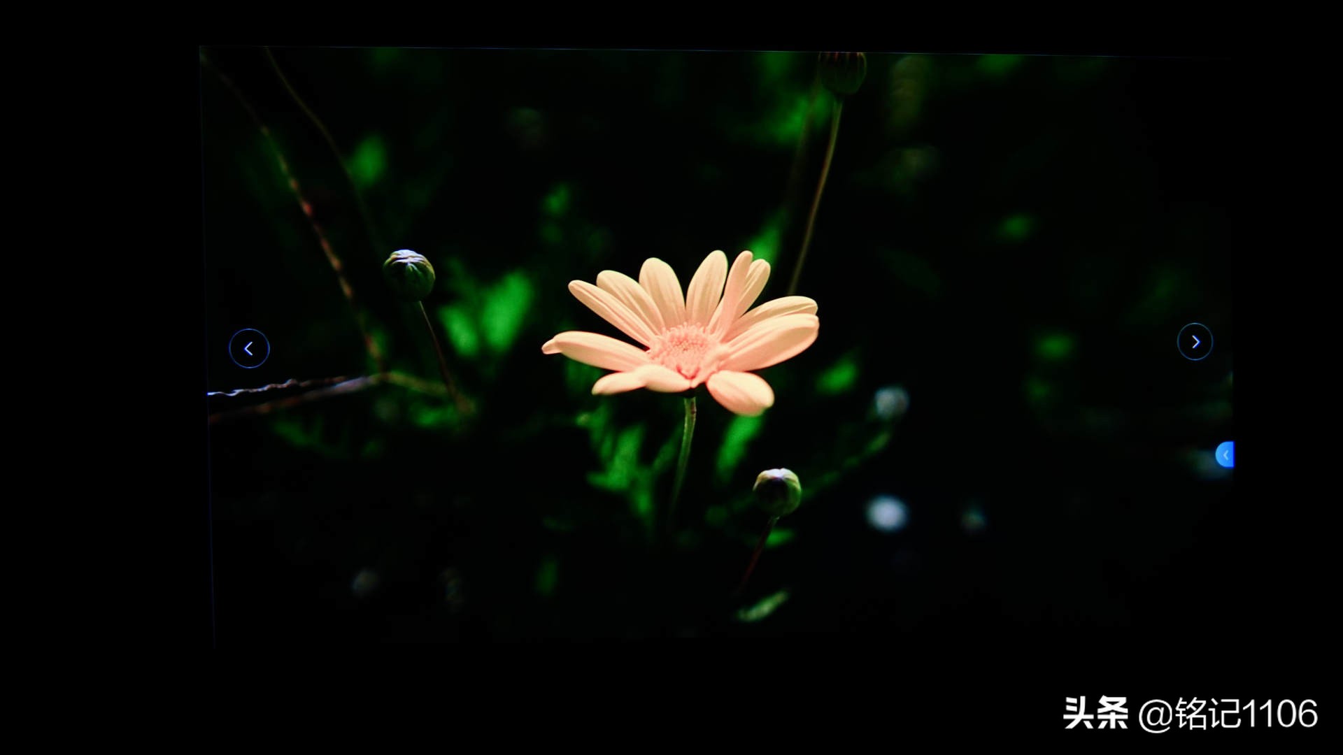 小明q1pro和小米投影仪对比,小明q1pro投影评测