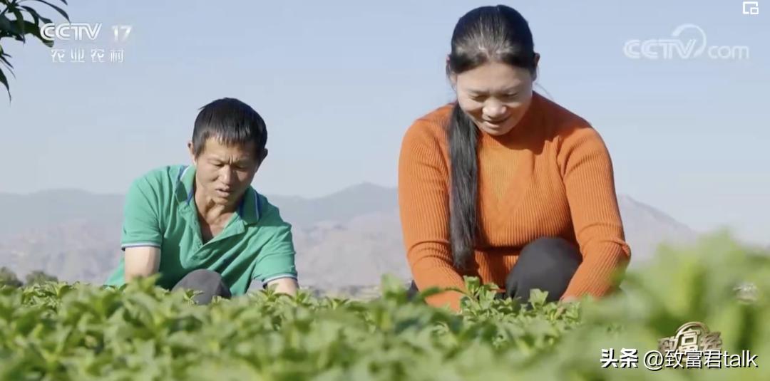 最想去打卡的早餐，藏在西南的小县城里，年产值上亿了