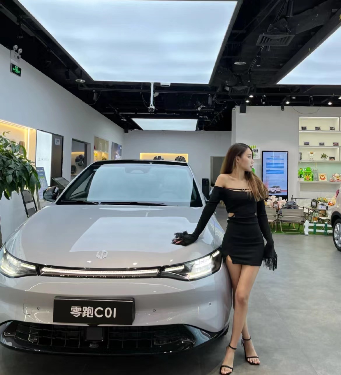 零跑c01便携式充电器多少功率,零跑c01快充电充到100可以吗