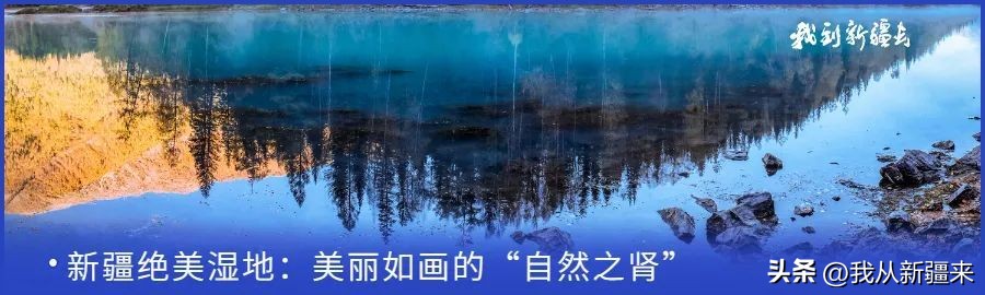 入疆旅游攻略,一篇攻略秒懂新疆