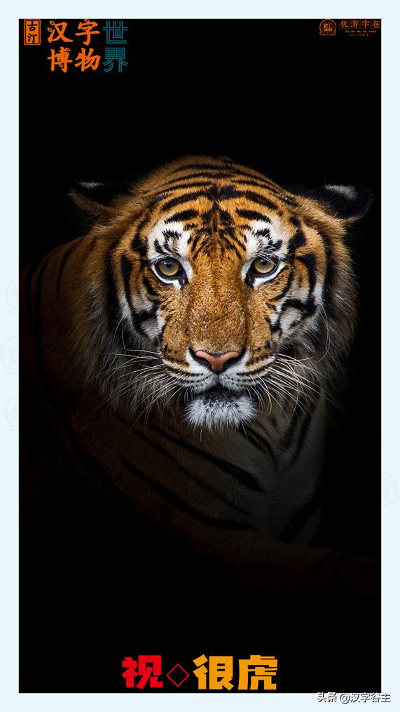 虎年带虎的成语,搜集有关虎年的成语十则