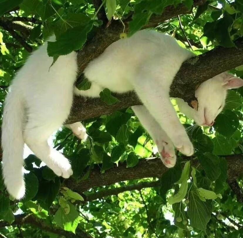 关于友谊的温柔文案高级,关于友谊的温柔文案多人