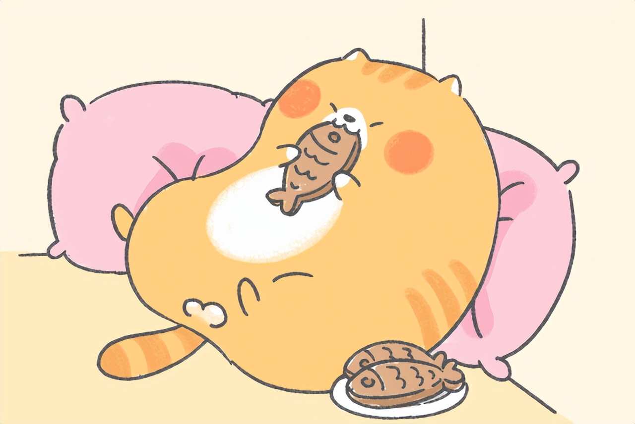 猫咪绝育完要买什么药,猫咪绝育需要知道的哪些事