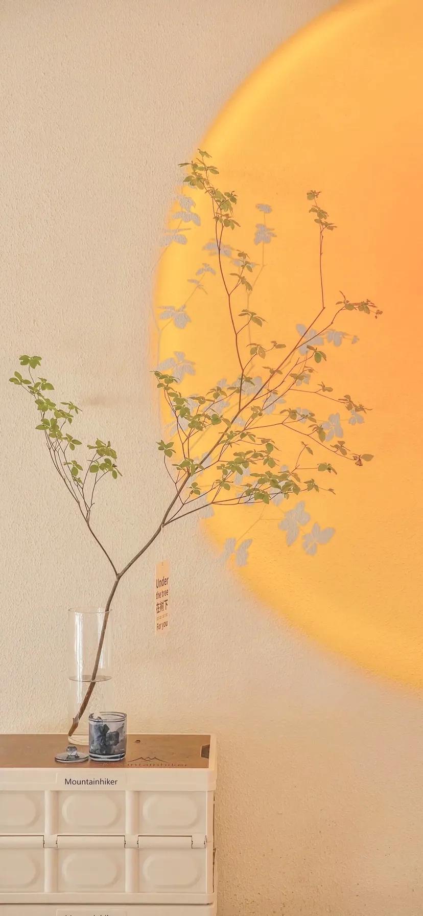 高清壁纸：黄色系治愈壁纸