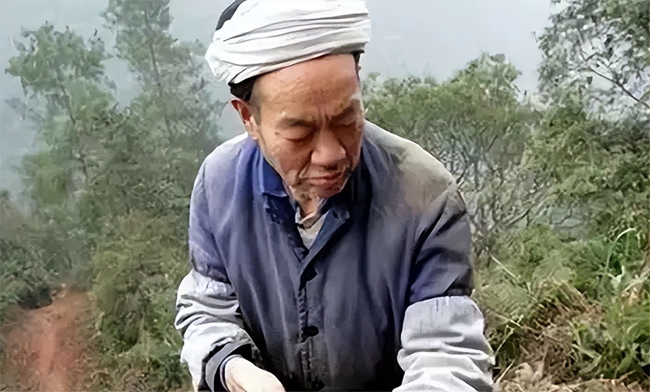 小伙带29岁寡妇隐居深山50年,19岁小伙与寡妇隐居深山50年