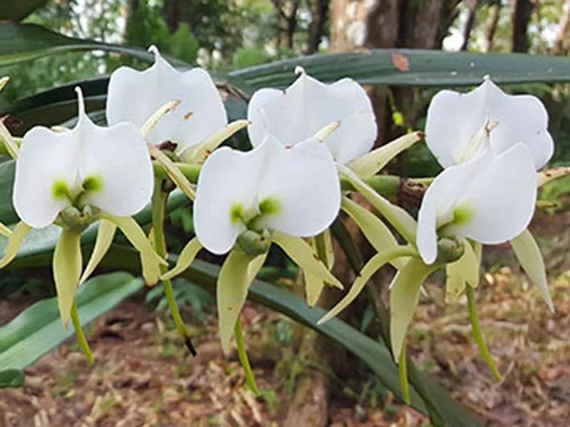 国色天香秀色可餐的美女 (秀色可餐与国色天香)