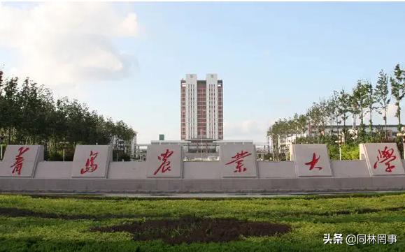 70后眼中的大学之南京林业,青岛农业大学的发展史