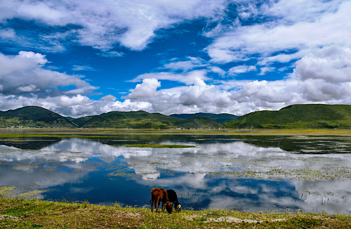 云南自由行旅游攻略三天,云南自由行三天游攻略