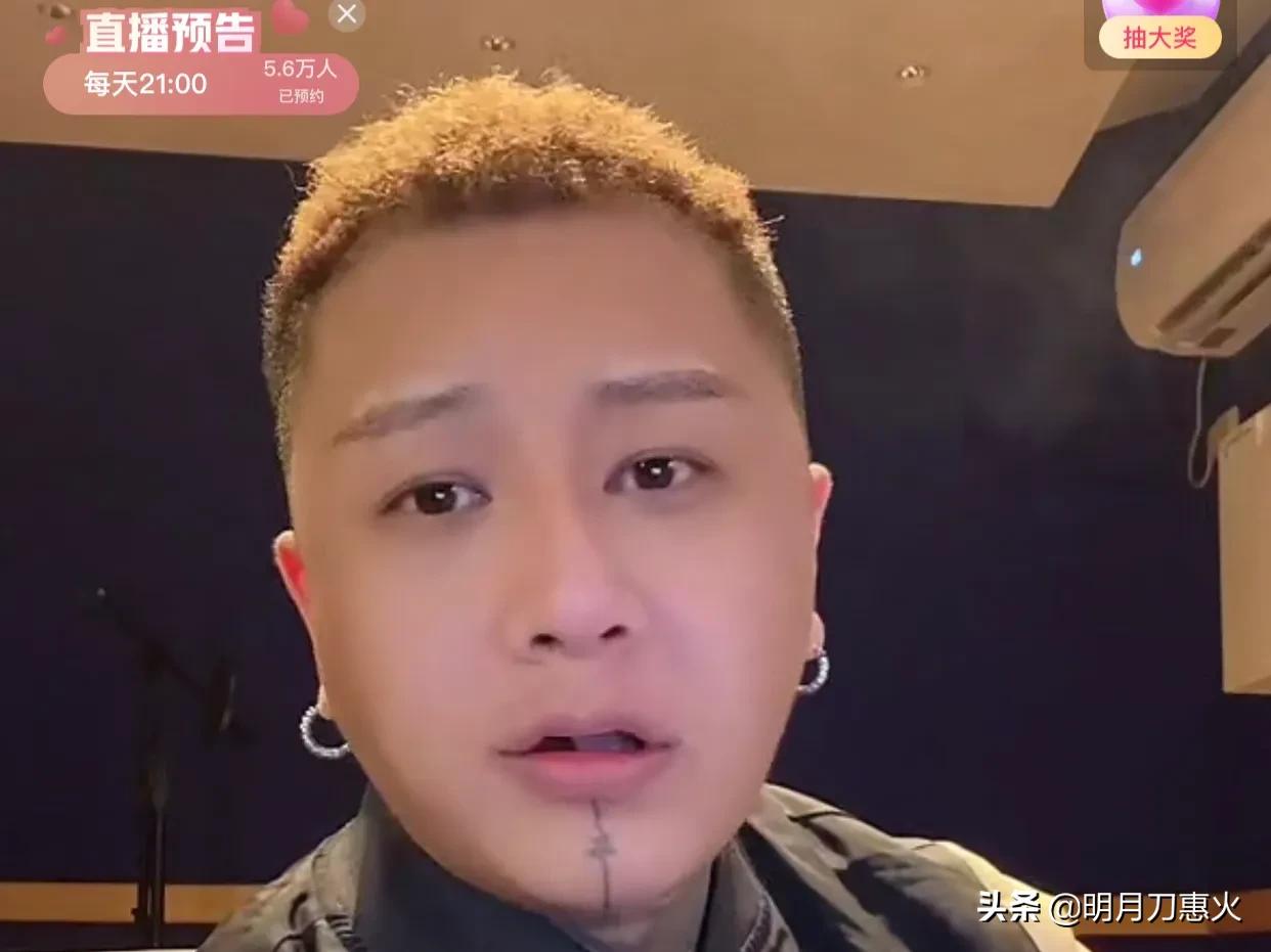 二驴平荣偷税,平荣采访辛巴完整视频