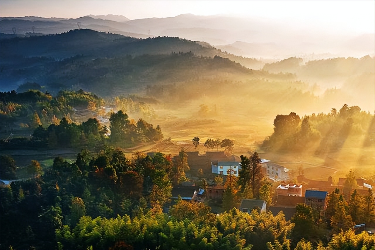 盘点那些过气网红的现状,2020年已经过气的网红