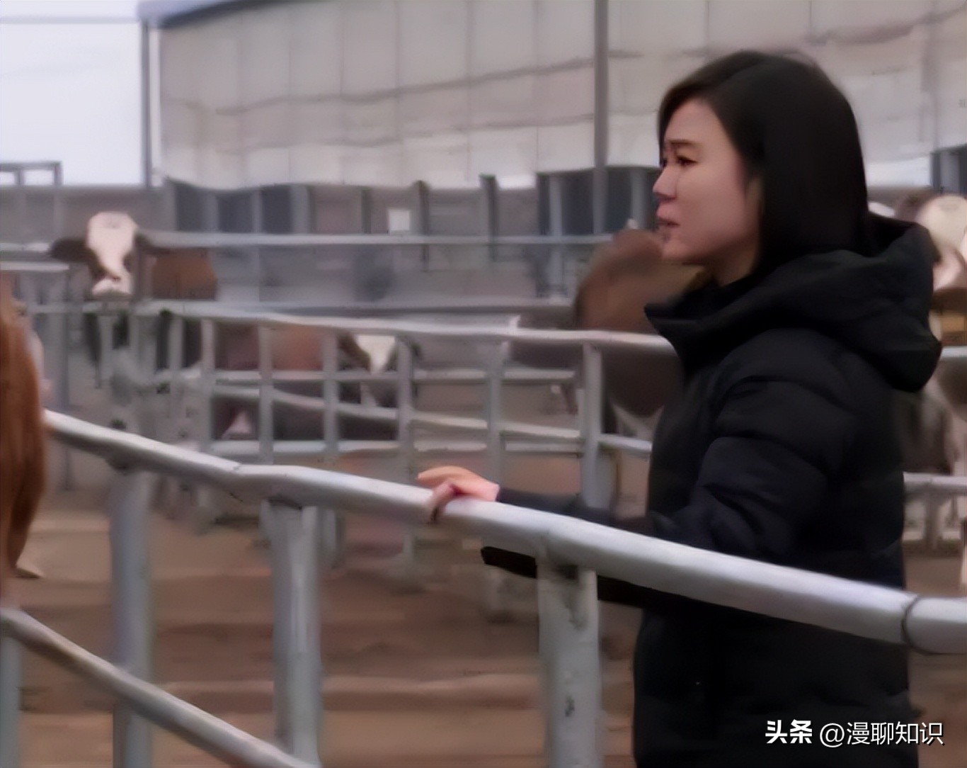 上海女白领被父亲一个电话叫回家养牛，靠没人要的牛1年狂赚1.6亿