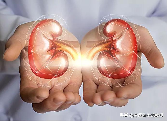 肾虚脚冷腰酸尿频,尿频腰酸是肾阳虚表现吗