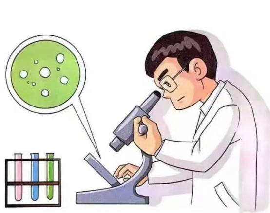 阿奇霉素治疗风险,阿奇霉素是抗菌类药物吗