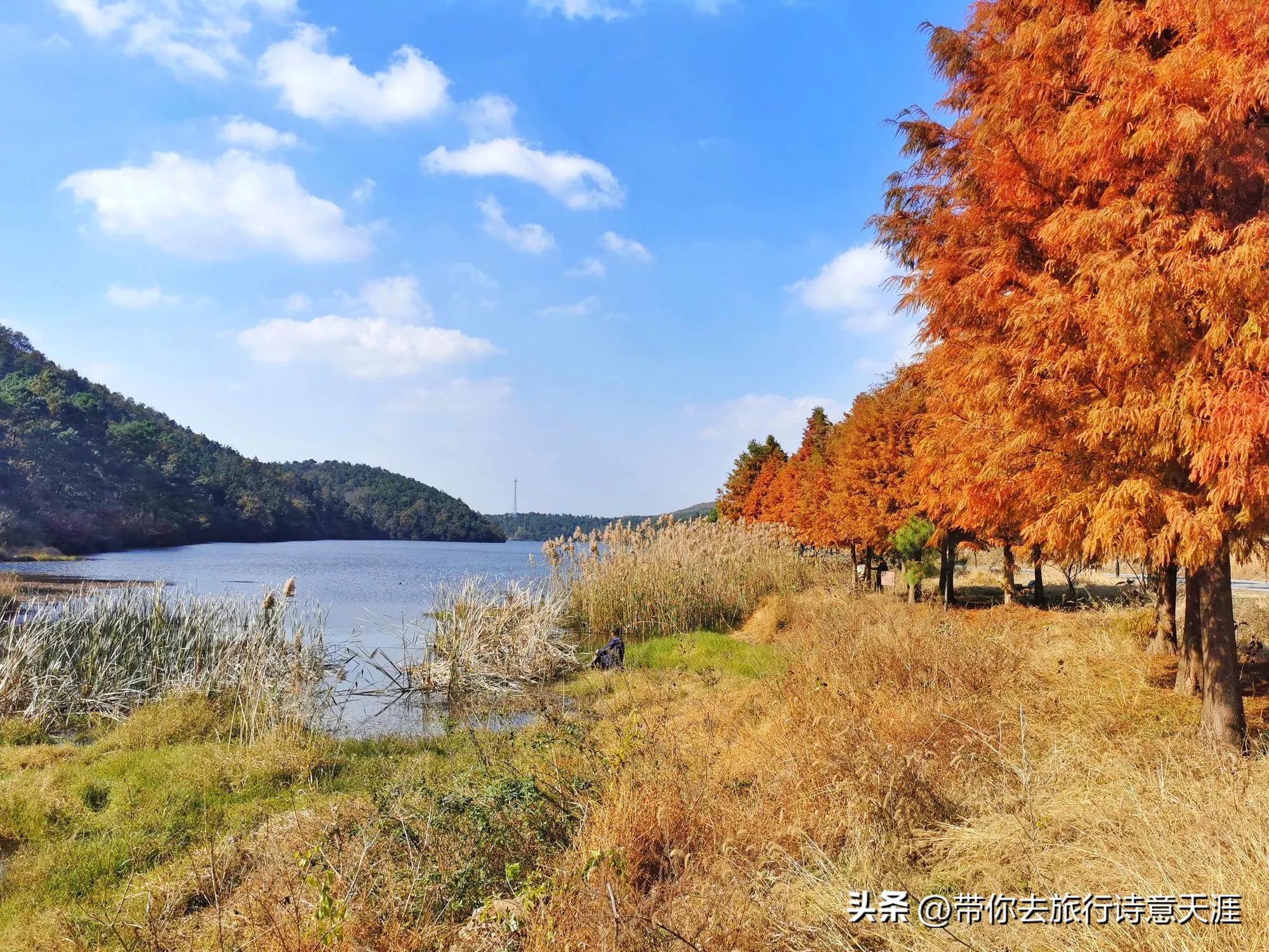 南京小众旅游景点攻略,南京小众景点古村落