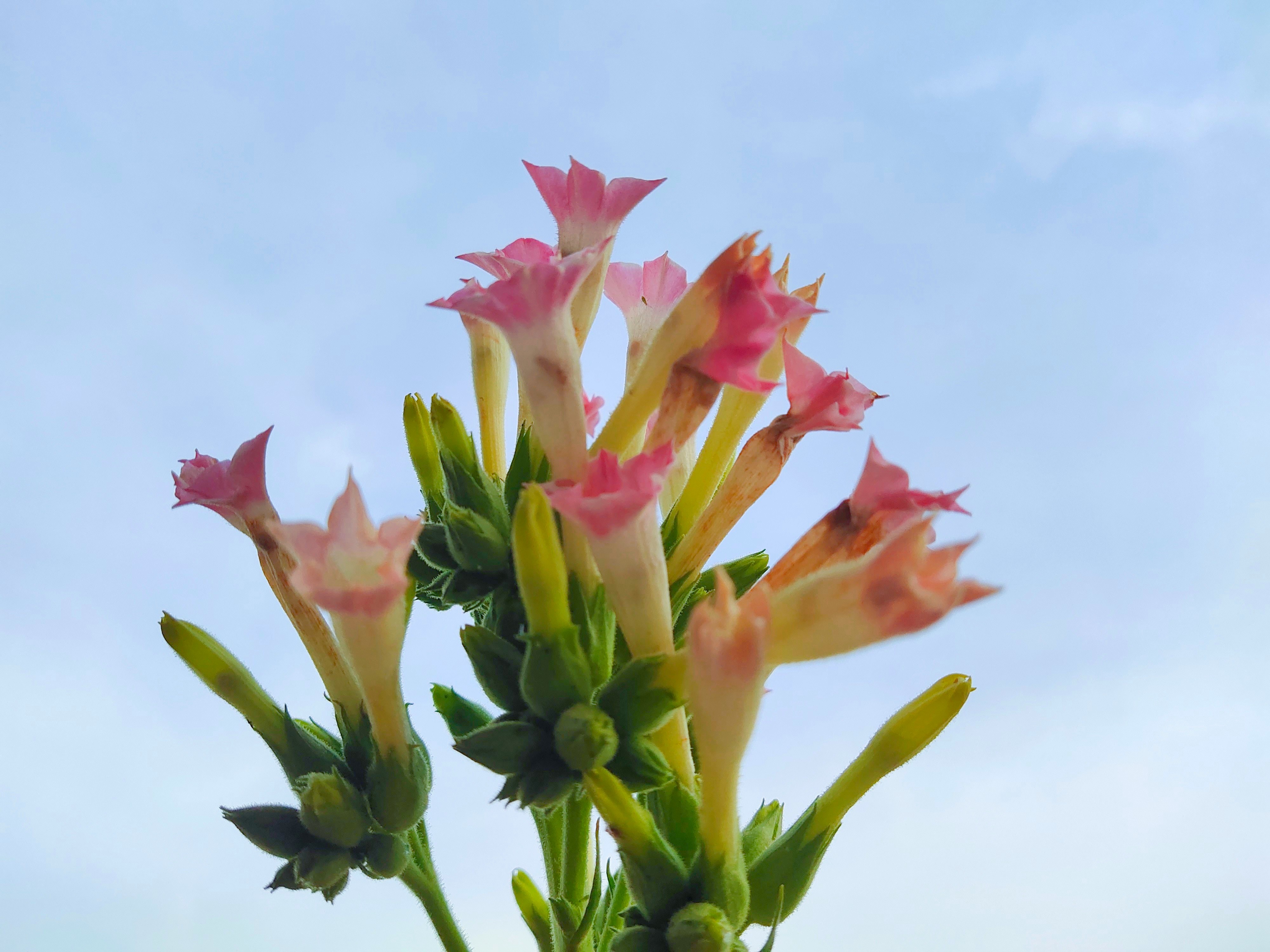 相亲见面两次可以发展到什么地步,同一个相亲对象介绍两次