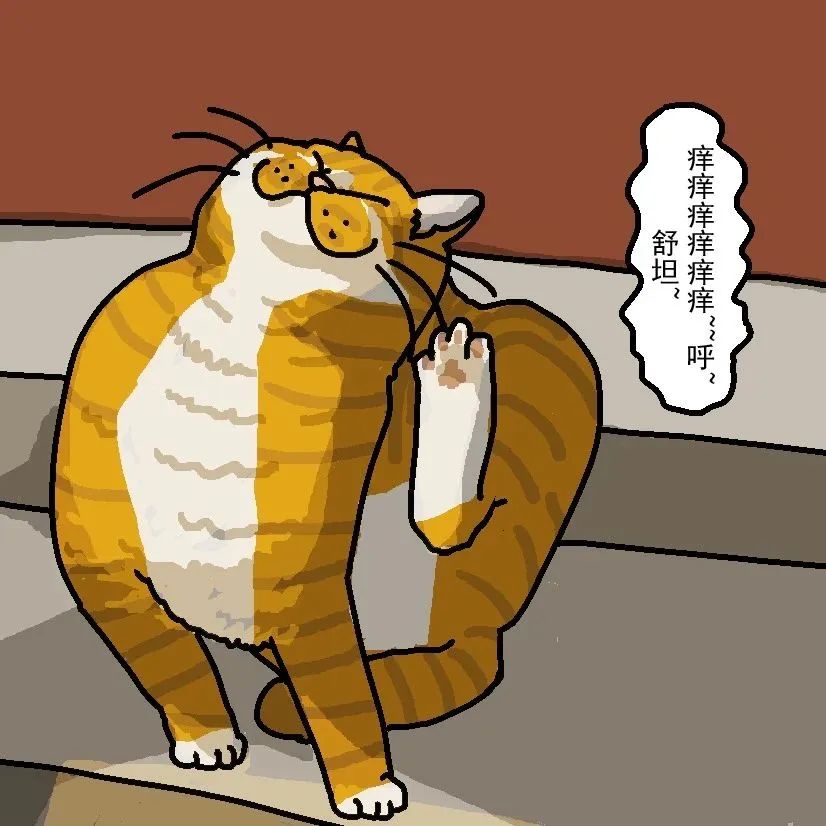 猫咪怎样驱跳蚤和蜱虫 (小猫身上有跳蚤了做外驱有用吗)