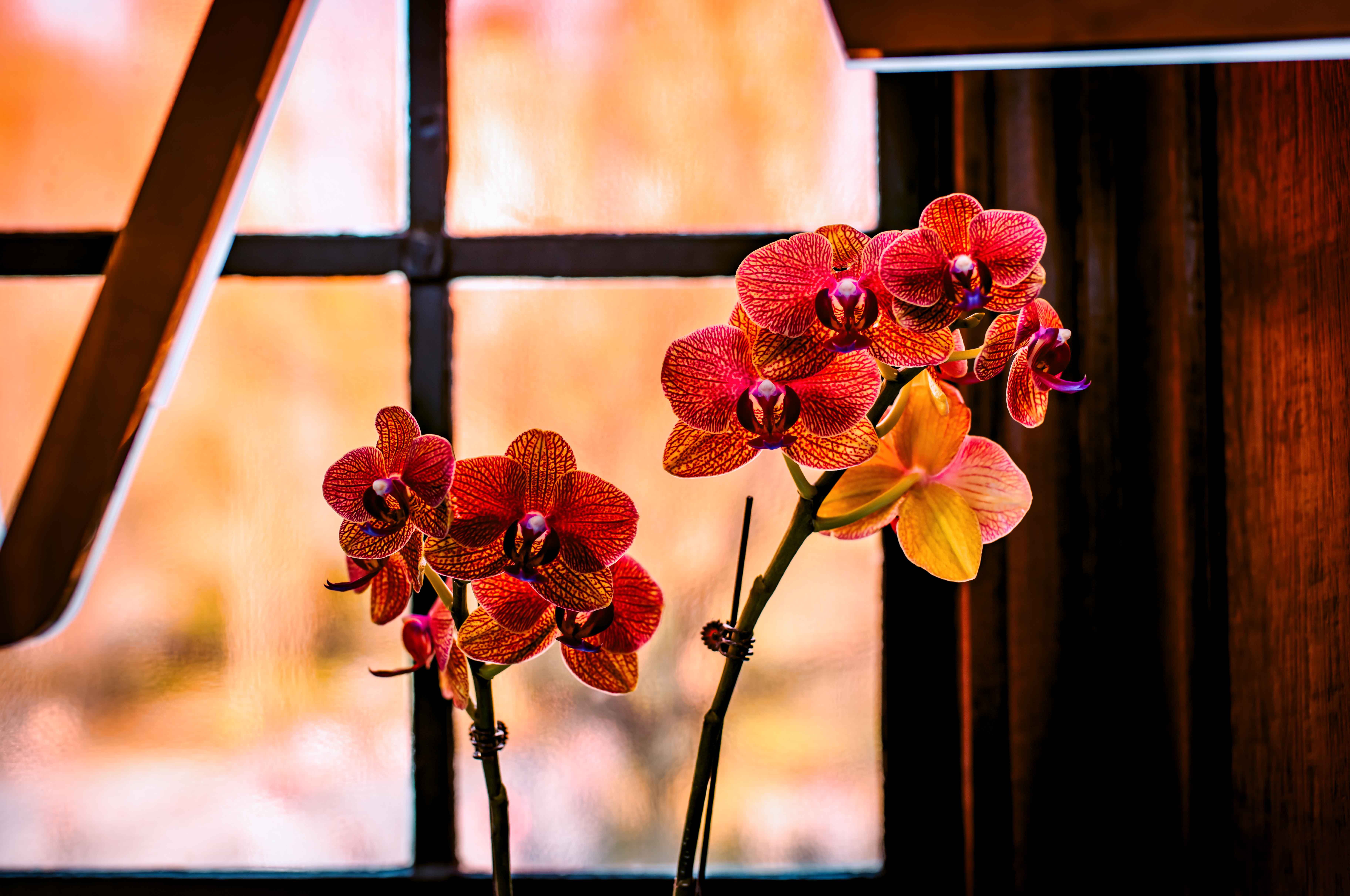 百代小楼,魔都闲逛