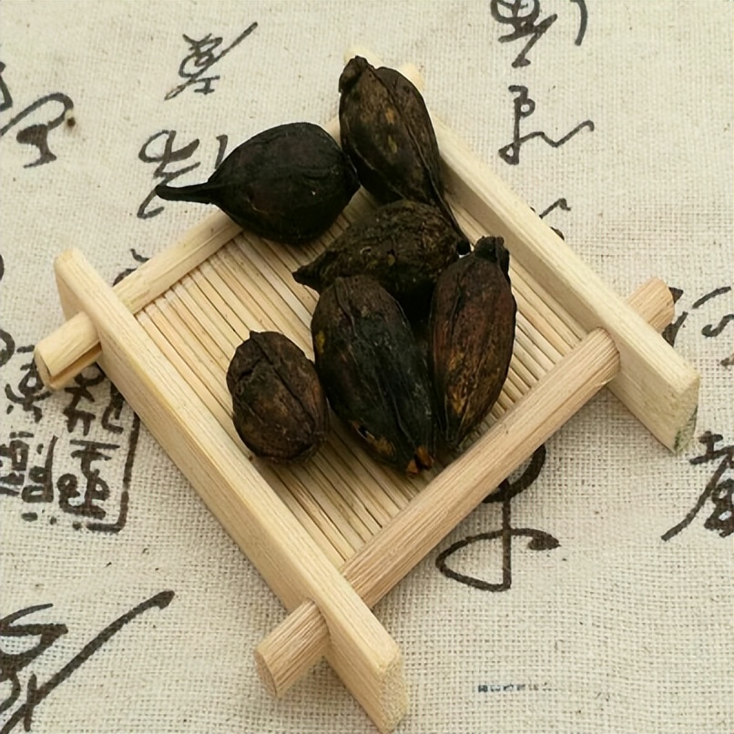 【马博士女性“养生馆”】药食同源——栀子花开