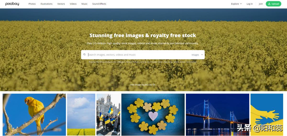 有什么图片素材网站,国外免费图片素材网站