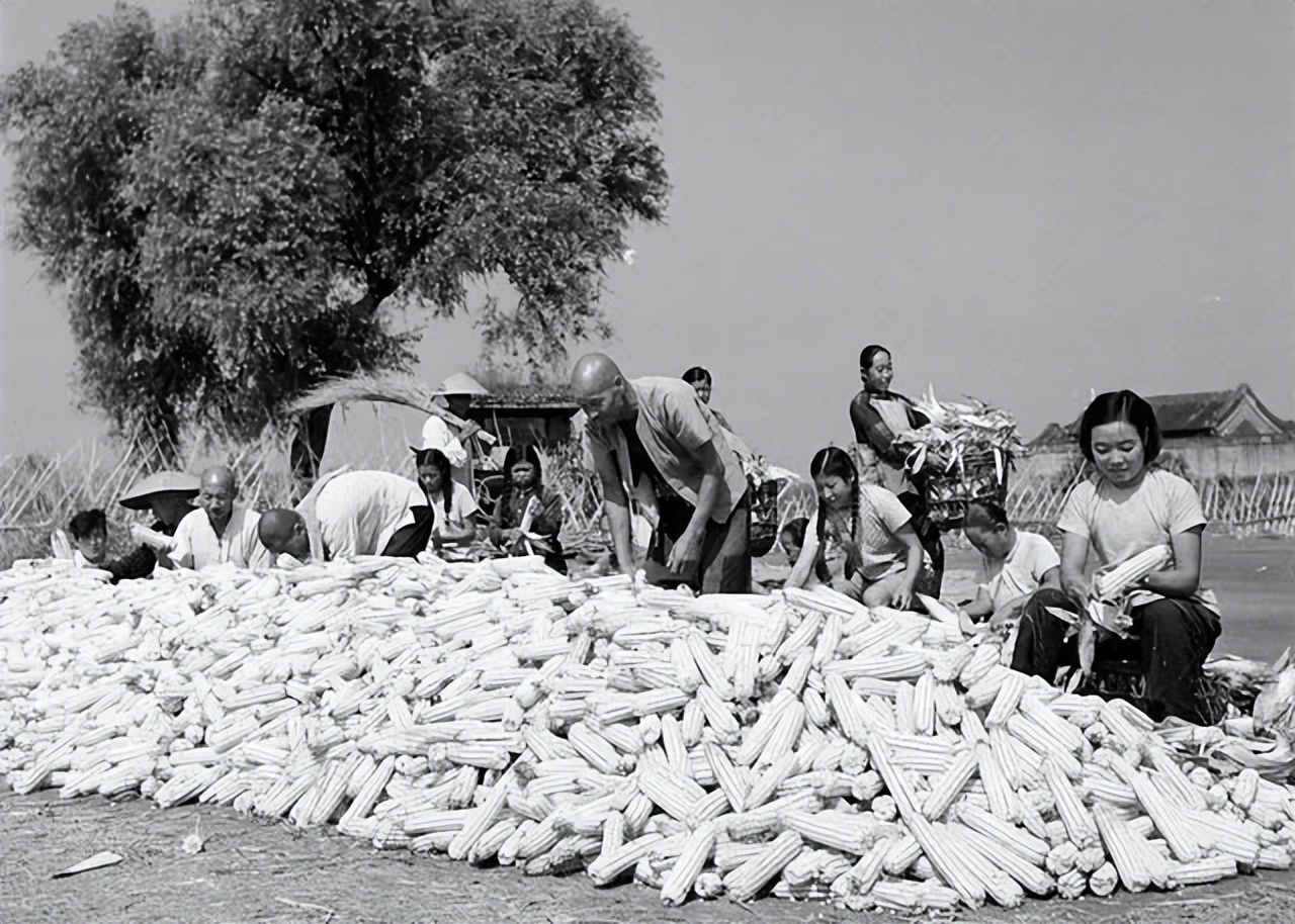 中国人对粮食安全的重视程度,为什么要时刻重视粮食安全