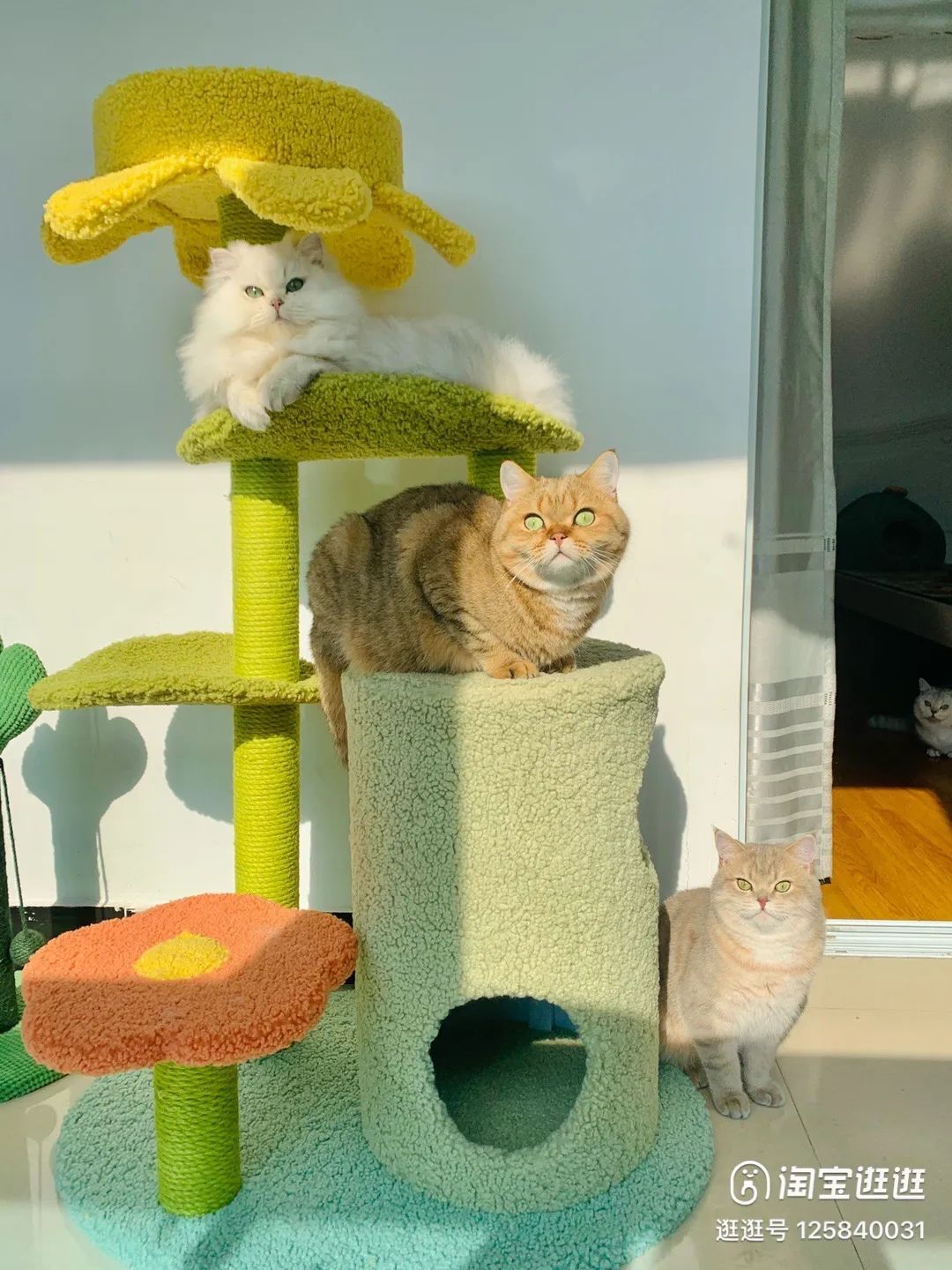 救命，我真的太喜欢我家的春日感客厅了，简直就是现实版浪漫满屋