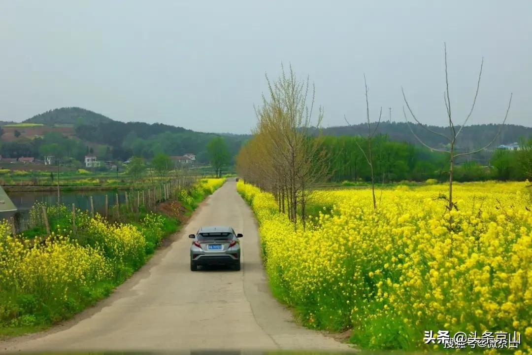 京山摄影爱好者,京山市摄影最牛的人