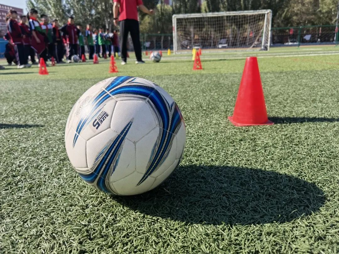 骨干教师示范引领个人工作总结,省市区优秀教师示范引领