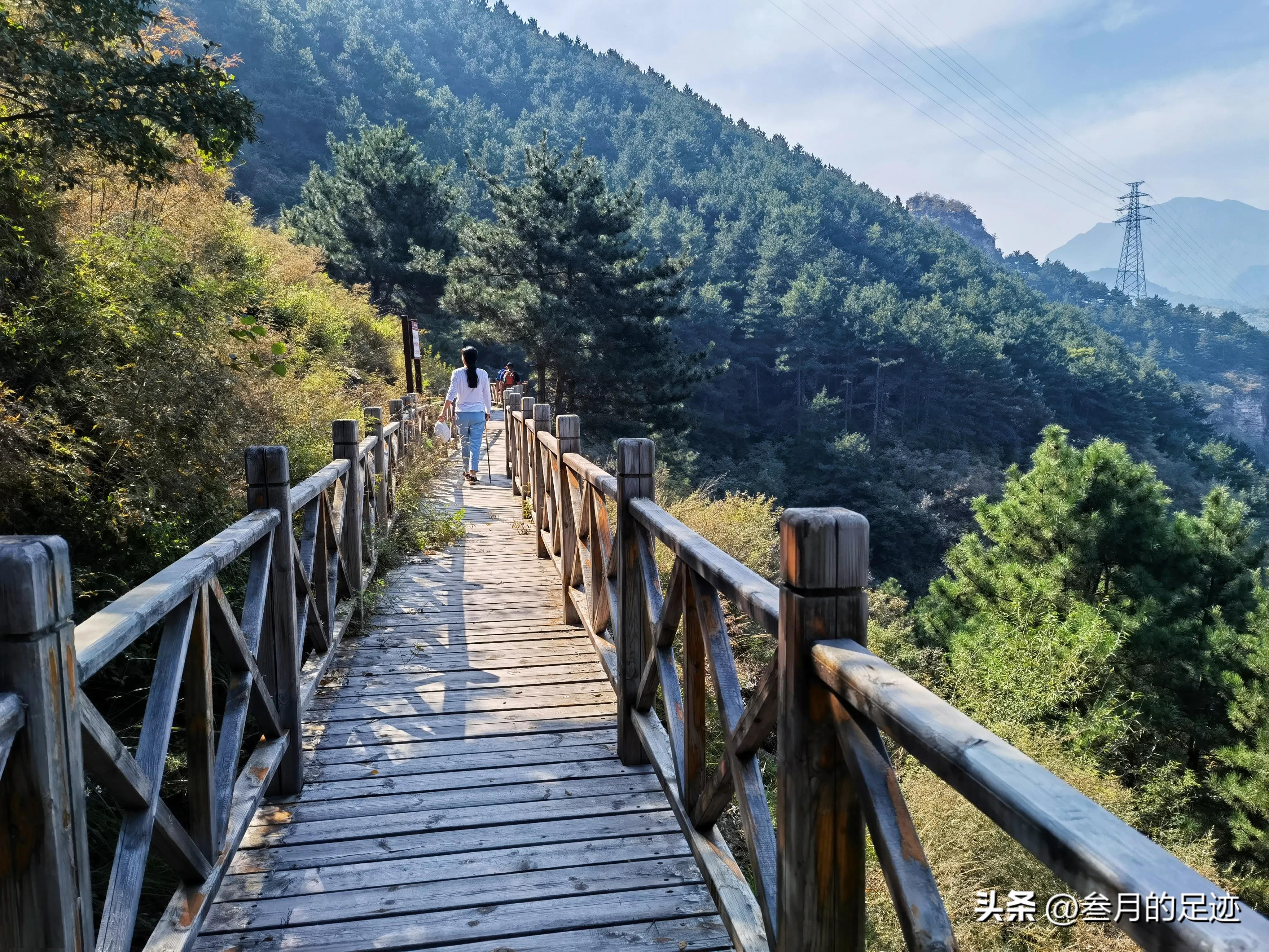 房山红叶最佳地点木栈道,北京房山森林游玩地方推荐