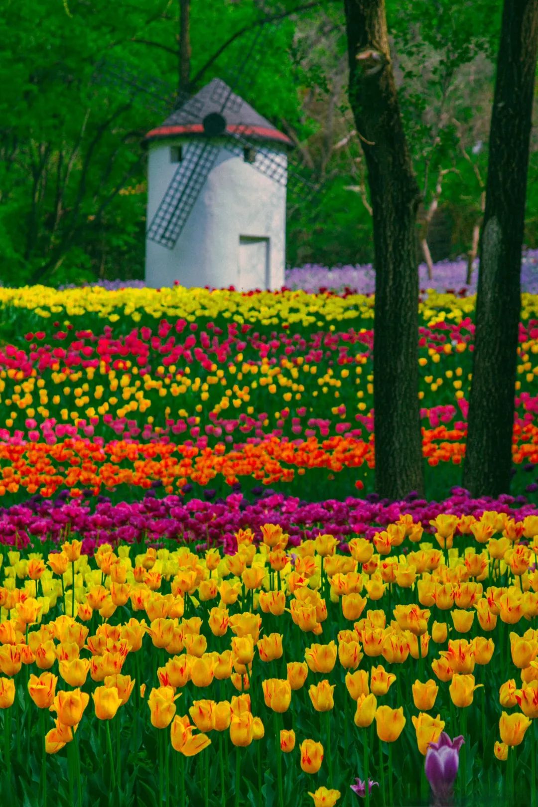 济南适合自由行的地方,去济南必去的三个地方